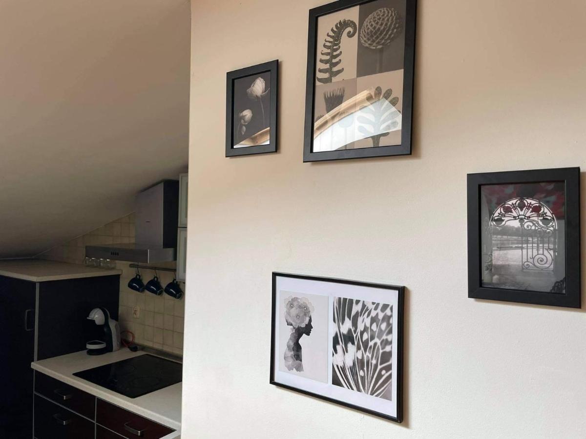 Apartament Studio Nałęczów Exteriér fotografie